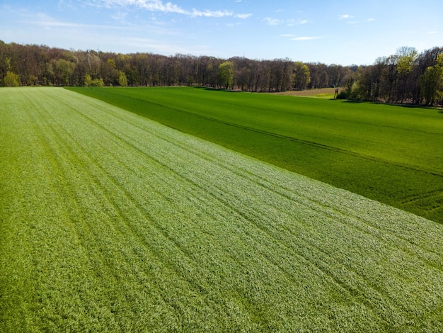 Landwirtschaftliche Felder Landschaft Ein Schuss von oben Farmers Field