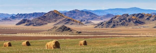 Landwirtschaftliche Landschaft des Herbstpanoramas