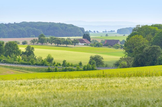 landwirtschaftliche Landschaft im Frühling