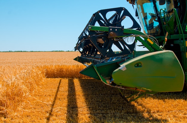 Landwirtschaftliche maschinerie sammelt gelbe weizenernte auf dem offenen gebiet an einem sonnigen hellen tag