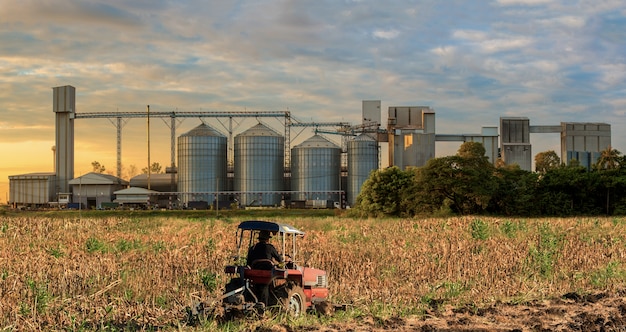 Landwirtschaftliche Silos Speicherkörner, Weizen, Mais, Sojabohnenöl, Sonnenblume, blauer Himmel, Bauernhoftraktor herein