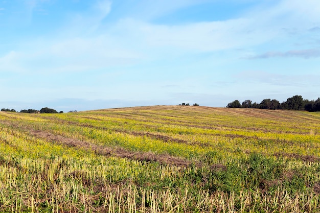 Landwirtschaftlicher Bereich