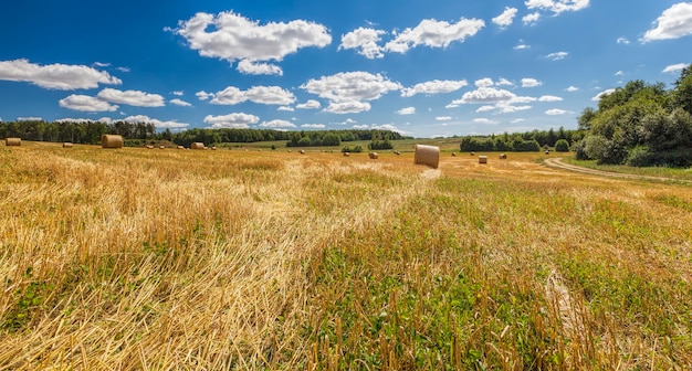 Landwirtschaftlicher Bereich