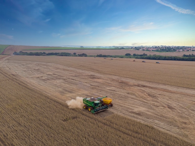 Landwirtschaftlicher Traktor, der Sojabohnen auf dem Gebiet erntet.