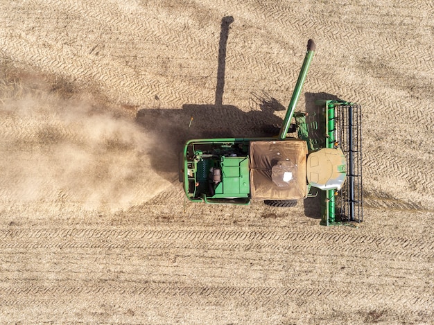 Landwirtschaftlicher Traktor, der Sojabohnen auf dem Gebiet erntet.