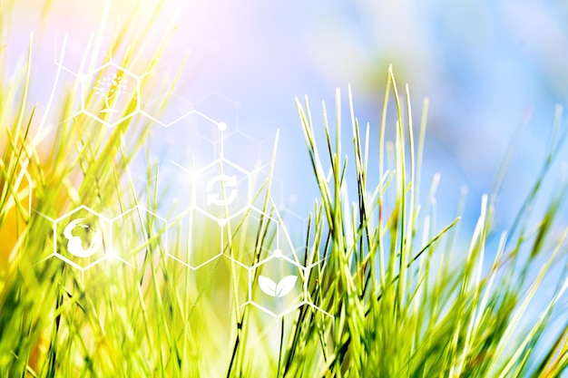 Foto landwirtschaftliches feld an einem klaren sonnigen tag. hochtechnologien und innovationen in der agrarindustrie.