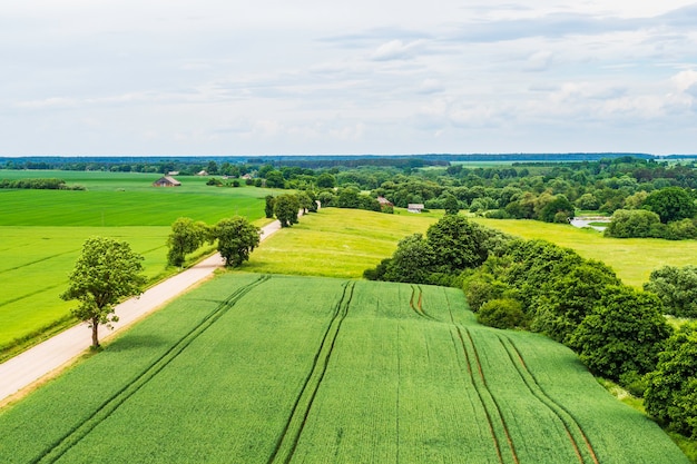 Landwirtschaftliches Feld der Landschaft, im Hintergrund, blauer Himmel und Wald.