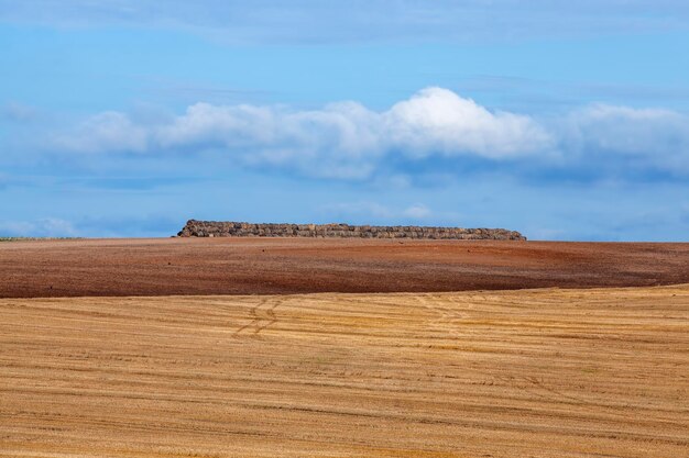 Landwirtschaftliches Feld mit Strohstapeln nach der Weizenernte