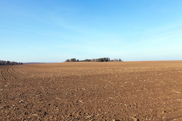 Landwirtschaftliches Feld