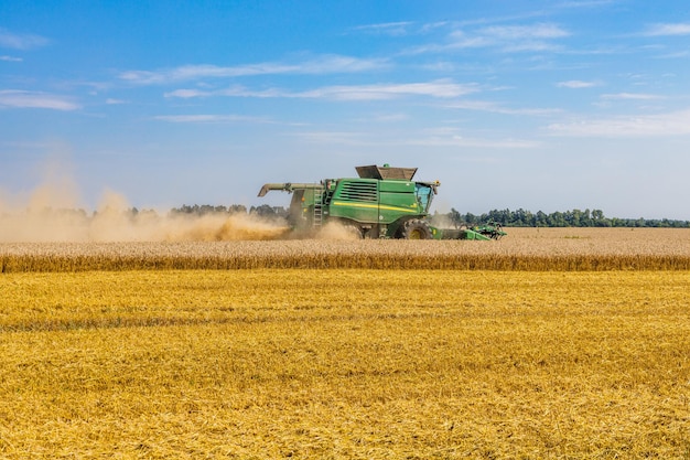 Landwirtschaftliches Weizenfeld mit Mähdrescher im Arbeitsprozess