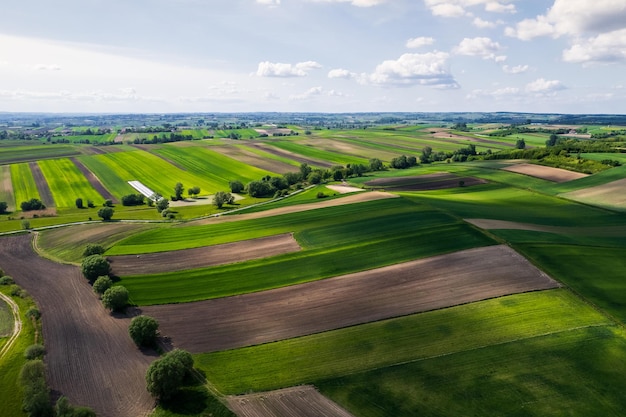 Landwirtschaftsfelder Paterns in ländlicher Landschaft Luftdrohnenansicht