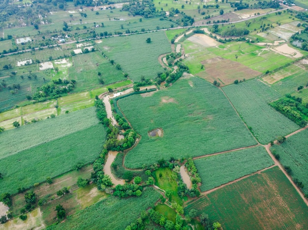 Landwirtschaftsgebiet in der Regenzeit in Thailand