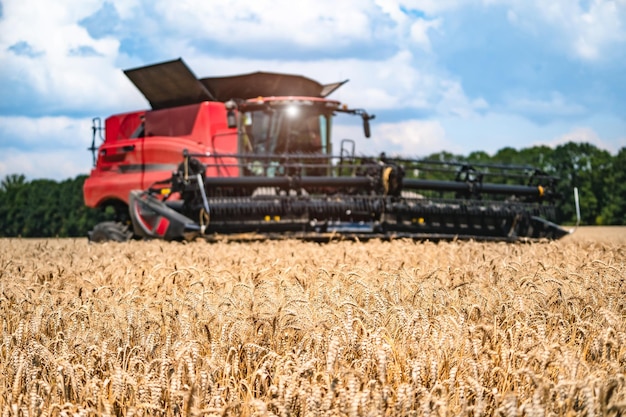 Landwirtschaftsmaschine Ernten in Feldern Spezielle Technik in Aktion Landwirtschaftliche Technik im Feld Schwere Maschinen blauer Himmel über dem Feld