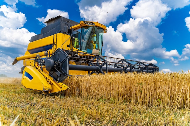 Foto landwirtschaftsprozess im weizenfeld schwere technik ländliche landschaft erntezeit