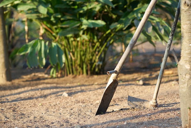 Landwirtwerkzeuge für die Landwirtschaft im Garten