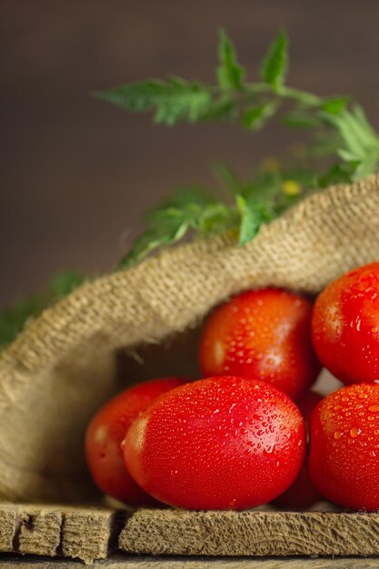 Lange Eiertomaten auf Holztisch Haufen frischer Tomaten