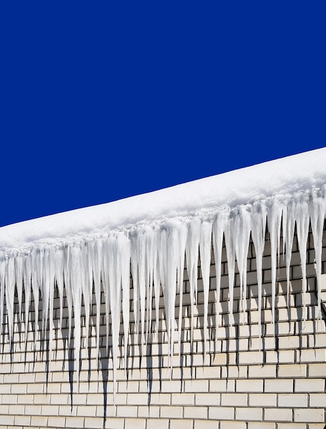 Lange Eiszapfen hängen vom Dach des Hauses vor dem Hintergrund einer weißen Backsteinmauer gegen den blauen Himmel