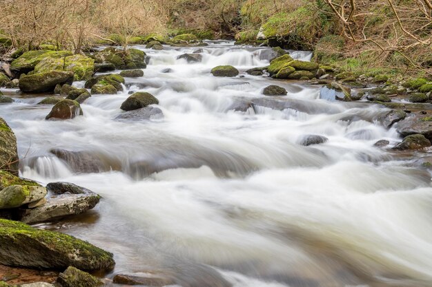 Lange Exposition des Flusses, der durch den Wald fließt, bei der Wassersammlung im Exmoor Nationalpark