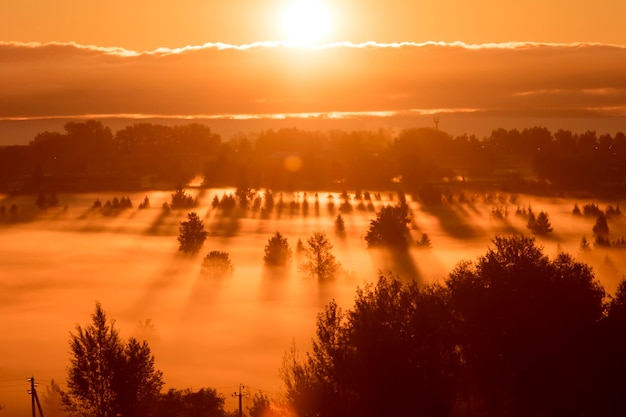 Lange Schatten der nebligen Morgendämmerung