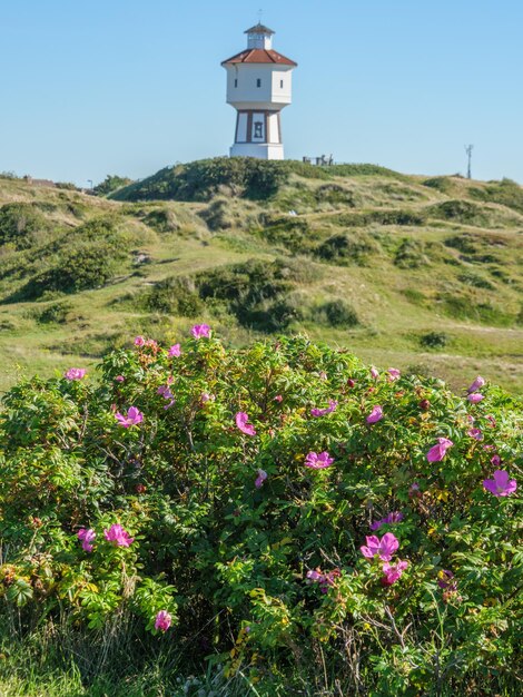 Foto langeoog no mar do norte