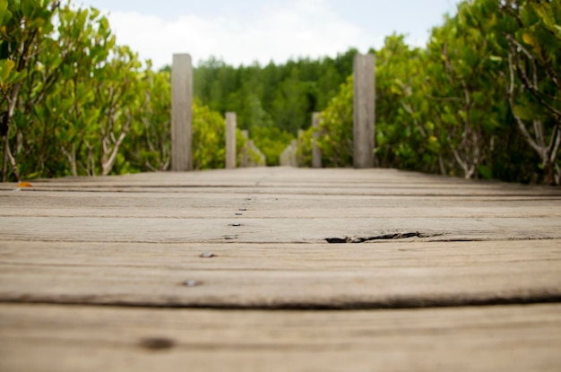 Langer Brückenweg aus Holz für Menschen und Reisende besuchen und suchen Golden Mangrove Field thailändischer Name Tung Prong Thong Forest lokale Pak Nam Prasae Stadt in Rayong Thailand