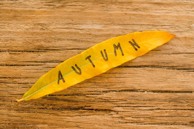 Foto langes gelbes blatt mit der aufschrift herbst auf dem alten holzhintergrund mit rissen