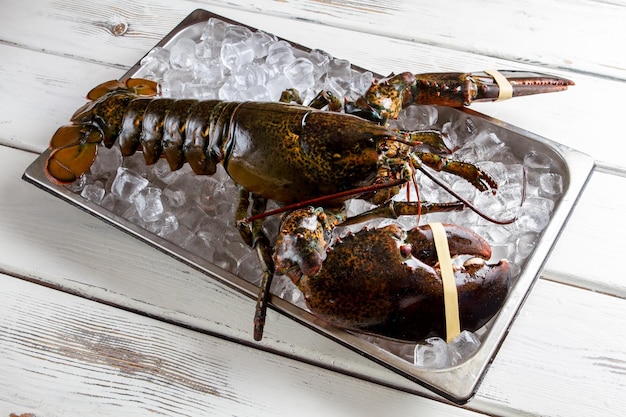 Langosta cruda tendido sobre hielo. Langosta con garras atadas. El marisco es el mejor manjar. Es hora de cocinar.