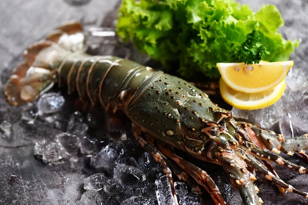 langosta espinosa mariscos en hielo langosta fresca o langosta de roca con hierbas y especias limón cilantro perejil en el fondo langosta espina cruda para cocinar alimentos o mercado de mariscos