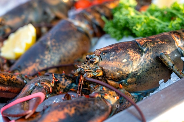 Langosta fresca de mar en el mercado callejero en Tailandia Concepto de mariscos Langosta cruda para cocinar primer plano