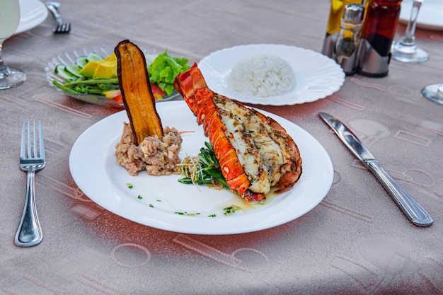 La langosta a la parrilla se coloca maravillosamente en un plato junto con una guarnición de puré de papas, plátano frito, verduras y arroz y una copa de cóctel. Cena cara en un restaurante.