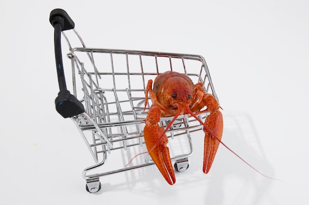 Langostas de cangrejo rojas hervidas en una foto divertida de la cesta de la compra para supermercados y compras