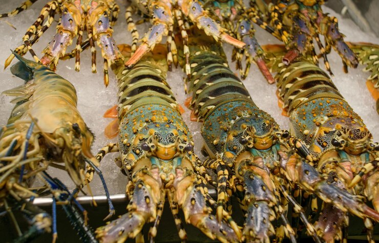 Langostas del mercado y del bazar tradicionales de la comida en Tailandia
