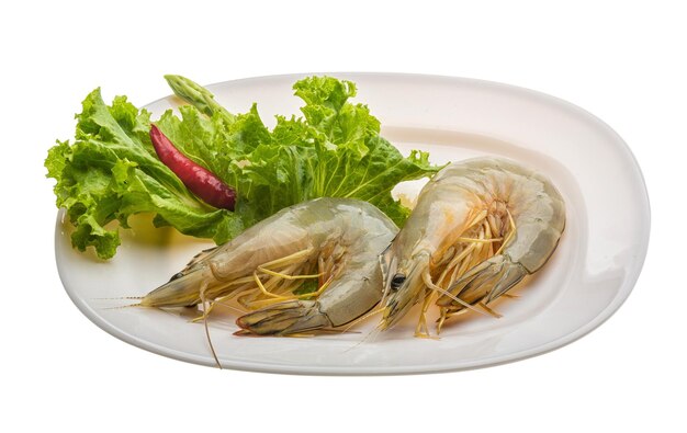 Langostino tigre