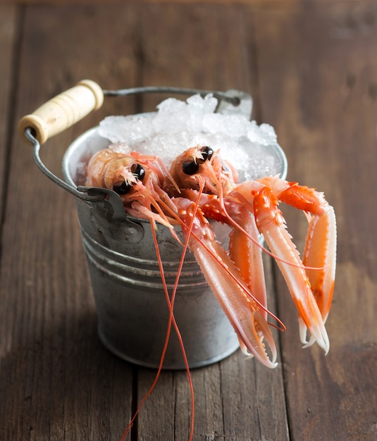 Langostinos crudos en hielo en un cubo