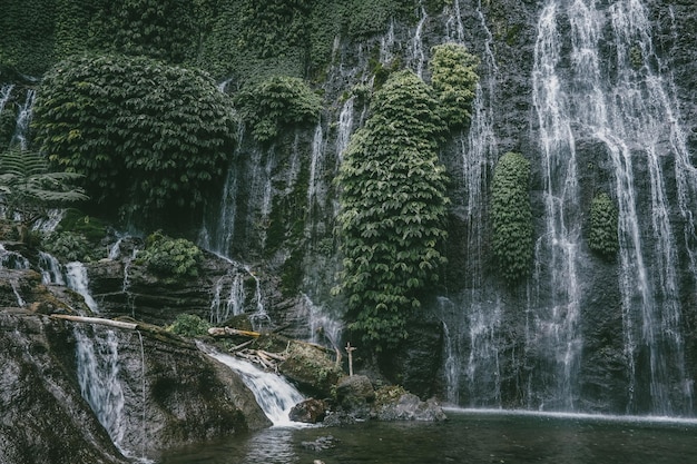 Langzeitbelichtungsbild eines Wasserfalls im Wald