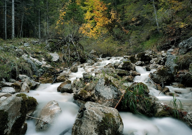 Foto langzeitbelichtungsfoto von bach, der über felsen im wald mit herbstfarben fließt