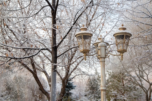 Lanterna em estilo retrô em um parque de inverno contra o fundo de galhos de árvores