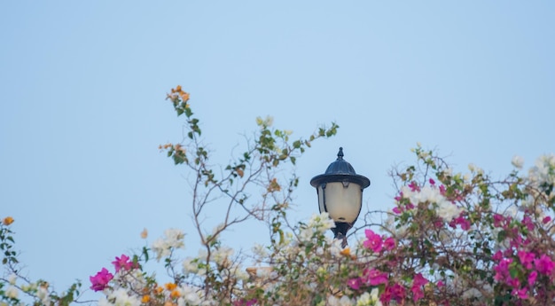 Lanterna entre flores e céu azul na praia