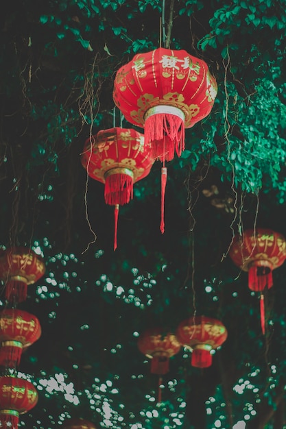 Lanternas chinesas vermelhas