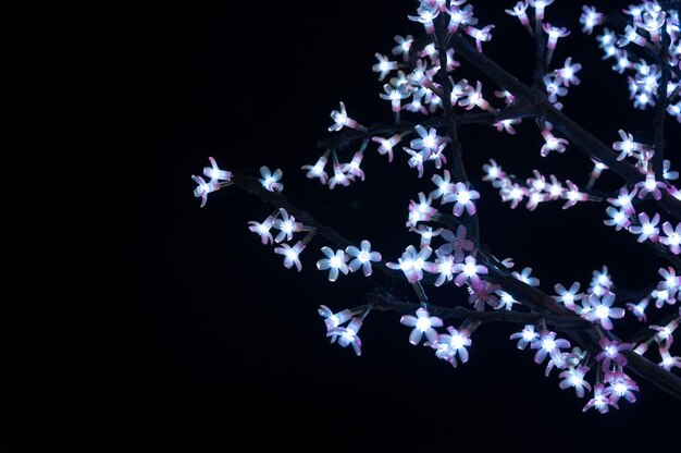 Lanternas de natal em forma de flores em fundo preto para feliz ano novo