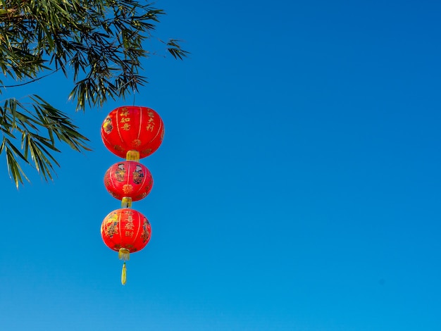 Lanternas de suspensão chinesas vermelhas na árvore de bambu.