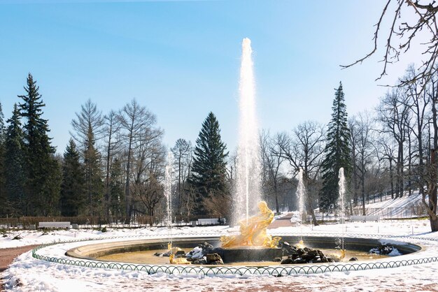 Foto lanzamiento de prueba de fuentes en el complejo de parques y palacios de peterhof nieve y fuentes