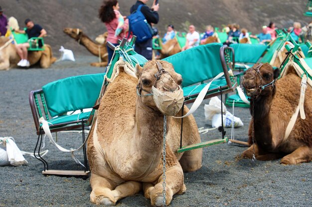 Foto lanzarote, españa