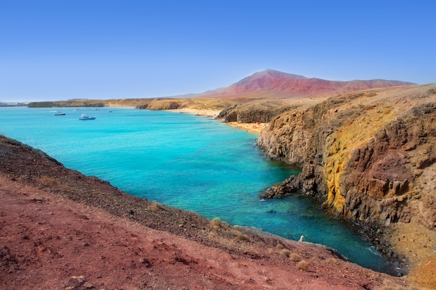 Lanzarote playa del pozo playa papagayo