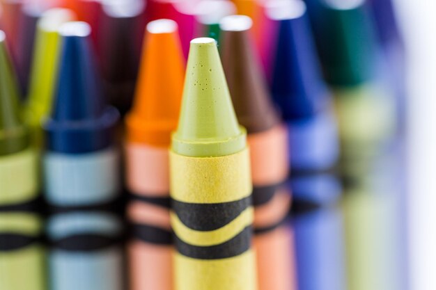 Lápices de colores multicolores sobre un fondo blanco.