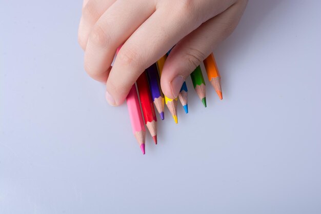 lápices de colores sobre un fondo blanco