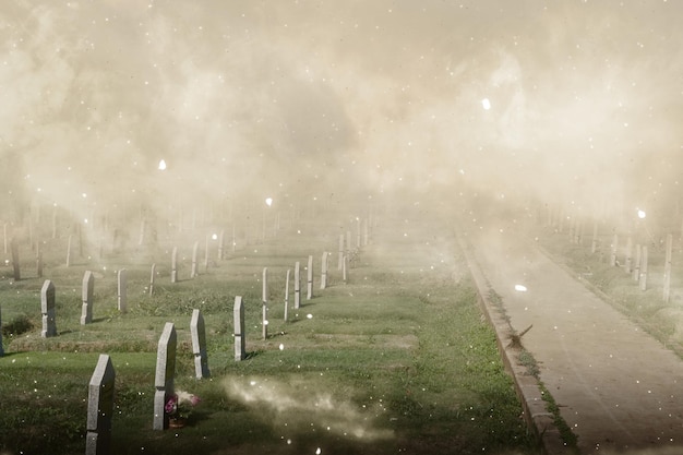 Lápidas en el cementerio