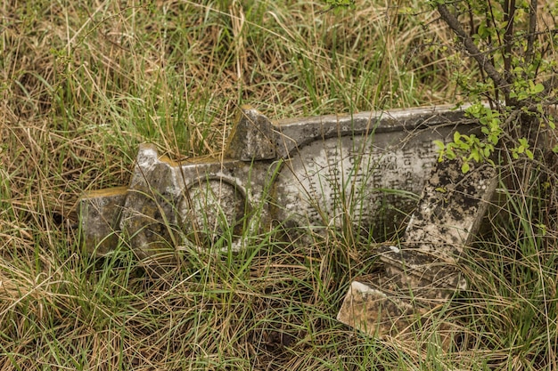 Lápide de um cemitério abandonado na natureza