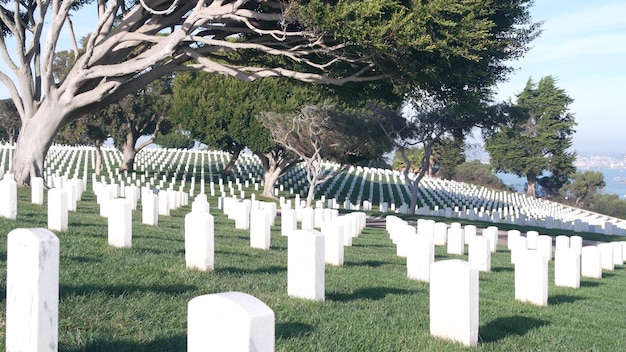 Lápides no cemitério memorial nacional militar americano nos eua