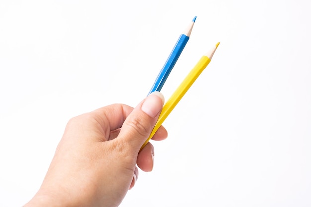 Lápis azuis e amarelos à disposição no fundo branco